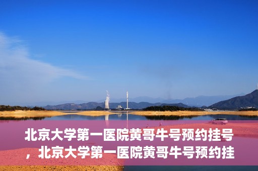 北京大学第一医院黄哥牛号预约挂号，北京大学第一医院黄哥牛号预约挂号攻略，轻松挂号，无忧就医体验