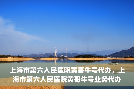 上海市第六人民医院黄哥牛号代办，上海市第六人民医院黄哥牛号业务代办攻略