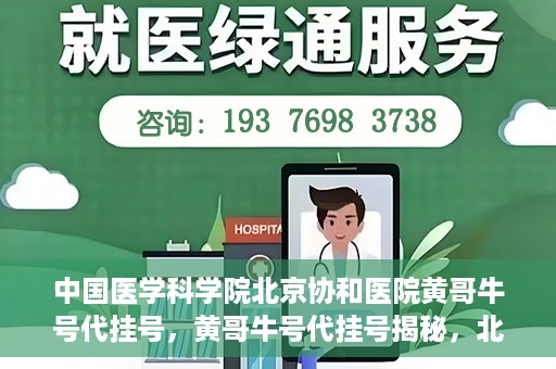 中国医学科学院北京协和医院黄哥牛号代挂号，黄哥牛号代挂号揭秘，北京协和医院挂号背后的故事