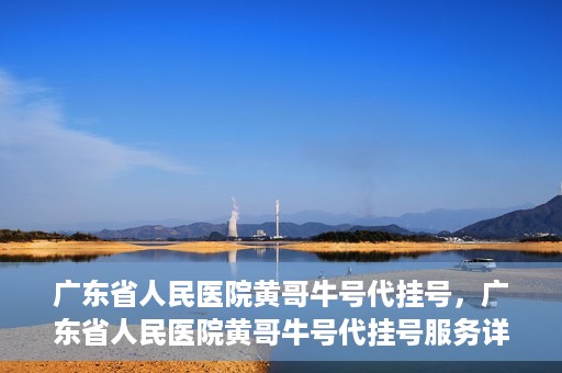 广东省人民医院黄哥牛号代挂号，广东省人民医院黄哥牛号代挂号服务详解