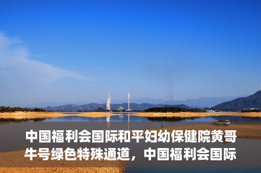 中国福利会国际和平妇幼保健院黄哥牛号绿色特殊通道，中国福利会国际和平妇幼保健院开设黄哥牛号绿色特殊通道，助力母婴健康关爱行动