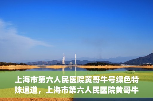 上海市第六人民医院黄哥牛号绿色特殊通道，上海市第六人民医院黄哥牛号，绿色特殊通道开启