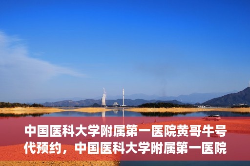 中国医科大学附属第一医院黄哥牛号代预约，中国医科大学附属第一医院黄哥牛号预约服务详解