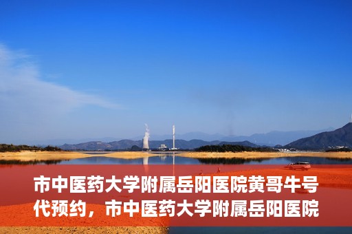 市中医药大学附属岳阳医院黄哥牛号代预约，市中医药大学附属岳阳医院黄哥牛号预约服务启动