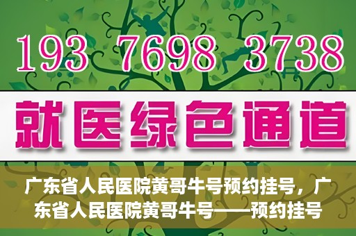 广东省人民医院黄哥牛号预约挂号，广东省人民医院黄哥牛号——预约挂号攻略