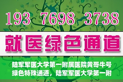 陆军军医大学第一附属医院黄哥牛号绿色特殊通道，陆军军医大学第一附属医院黄哥牛号，绿色特殊通道开启健康之门