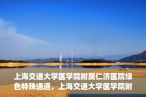 上海交通大学医学院附属仁济医院绿色特殊通道，上海交通大学医学院附属仁济医院绿色特殊通道，高效医疗服务的创新实践