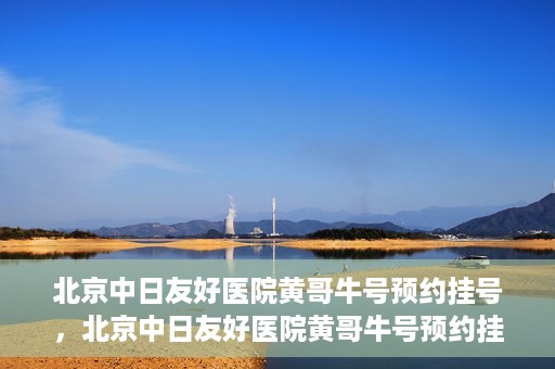 北京中日友好医院黄哥牛号预约挂号，北京中日友好医院黄哥牛号预约挂号指南