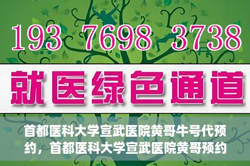 首都医科大学宣武医院黄哥牛号代预约，首都医科大学宣武医院黄哥预约代挂号服务解析