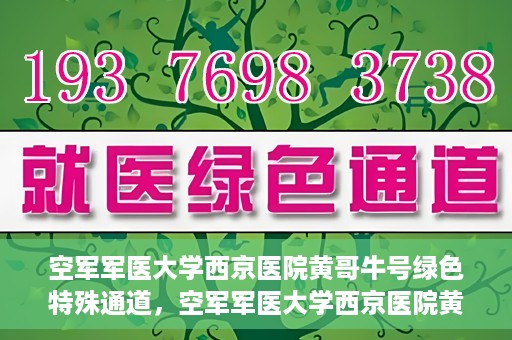 空军军医大学西京医院黄哥牛号绿色特殊通道，空军军医大学西京医院黄哥牛号，绿色特殊通道开启健康之门