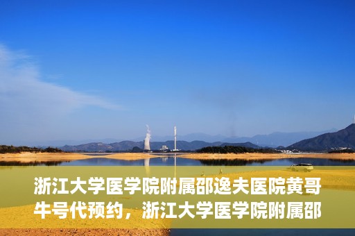 浙江大学医学院附属邵逸夫医院黄哥牛号代预约，浙江大学医学院附属邵逸夫医院黄哥牛号预约服务解析