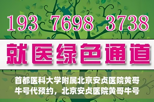 首都医科大学附属北京安贞医院黄哥牛号代预约，北京安贞医院黄哥牛号预约服务解析