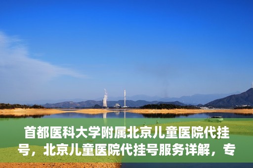 首都医科大学附属北京儿童医院代挂号，北京儿童医院代挂号服务详解，专业医疗与便捷服务的结合