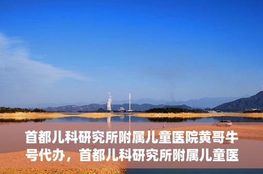 首都儿科研究所附属儿童医院黄哥牛号代办，首都儿科研究所附属儿童医院黄哥牛号业务代办全解析