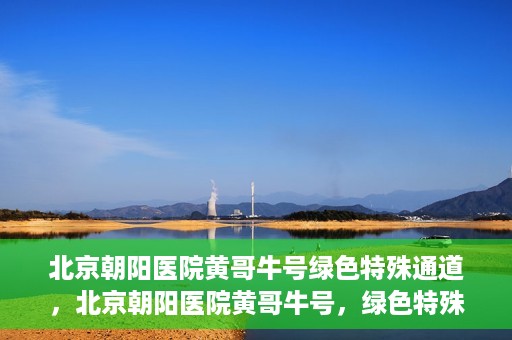 北京朝阳医院黄哥牛号绿色特殊通道，北京朝阳医院黄哥牛号，绿色特殊通道开启健康之门