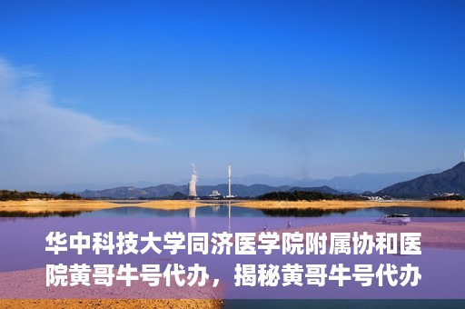 华中科技大学同济医学院附属协和医院黄哥牛号代办，揭秘黄哥牛号代办背后的故事，华中科技大学同济医学院附属协和医院就医新途径探索