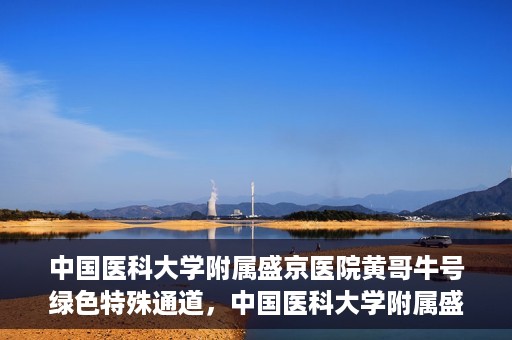 中国医科大学附属盛京医院黄哥牛号绿色特殊通道，中国医科大学附属盛京医院黄哥牛号，绿色特殊通道开启健康之门