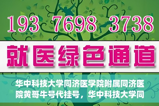 华中科技大学同济医学院附属同济医院黄哥牛号代挂号，华中科技大学同济医院黄哥牛号代挂号背后的故事