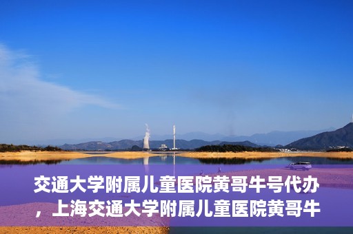 交通大学附属儿童医院黄哥牛号代办，上海交通大学附属儿童医院黄哥牛号代办揭秘，真相与警示