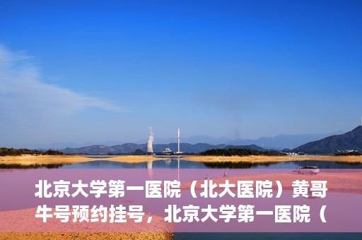 北京大学第一医院（北大医院）黄哥牛号预约挂号，北京大学第一医院（北大医院）黄哥牛号，预约挂号攻略