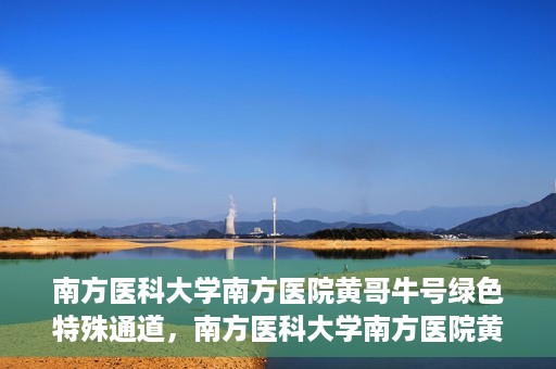 南方医科大学南方医院黄哥牛号绿色特殊通道，南方医科大学南方医院黄哥牛号，绿色特殊通道开启健康之门