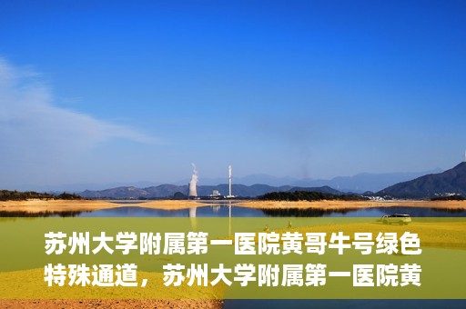 苏州大学附属第一医院黄哥牛号绿色特殊通道，苏州大学附属第一医院黄哥牛号，绿色特殊通道的守护力量