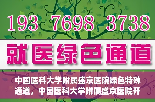 中国医科大学附属盛京医院绿色特殊通道，中国医科大学附属盛京医院开通绿色特殊通道，助力患者快速就医