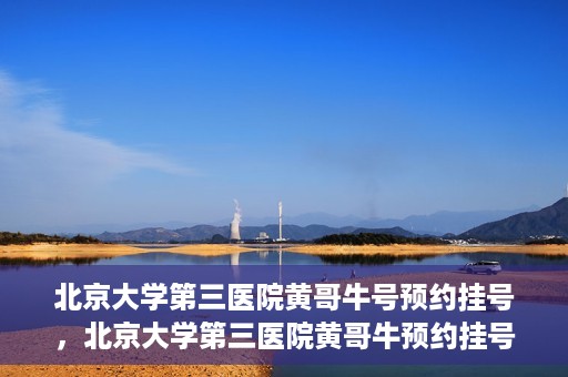 北京大学第三医院黄哥牛号预约挂号，北京大学第三医院黄哥牛预约挂号攻略，轻松预约专家号