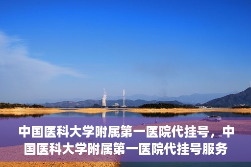 中国医科大学附属第一医院代挂号，中国医科大学附属第一医院代挂号服务详解