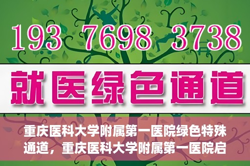 重庆医科大学附属第一医院绿色特殊通道，重庆医科大学附属第一医院启动绿色特殊通道，高效医疗服务的探索与实践