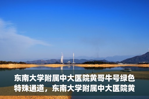 东南大学附属中大医院黄哥牛号绿色特殊通道，东南大学附属中大医院黄哥牛号，绿色特殊通道开启生命之门
