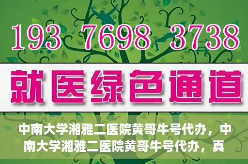 中南大学湘雅二医院黄哥牛号代办，中南大学湘雅二医院黄哥牛号代办，真相揭秘与深度解读
