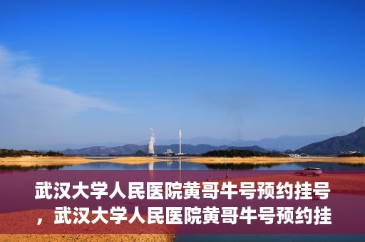 武汉大学人民医院黄哥牛号预约挂号，武汉大学人民医院黄哥牛号预约挂号攻略解析