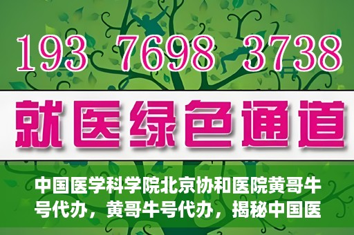 中国医学科学院北京协和医院黄哥牛号代办，黄哥牛号代办，揭秘中国医学科学院北京协和医院背后的故事