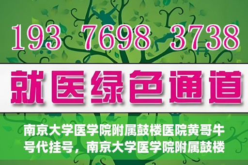 南京大学医学院附属鼓楼医院黄哥牛号代挂号，南京大学医学院附属鼓楼医院黄哥牛号代挂号解析，专业解读与预约攻略