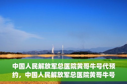 中国人民解放军总医院黄哥牛号代预约，中国人民解放军总医院黄哥牛号预约服务解析
