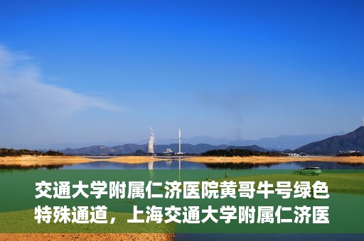 交通大学附属仁济医院黄哥牛号绿色特殊通道，上海交通大学附属仁济医院黄哥牛号绿色就医特殊通道解析