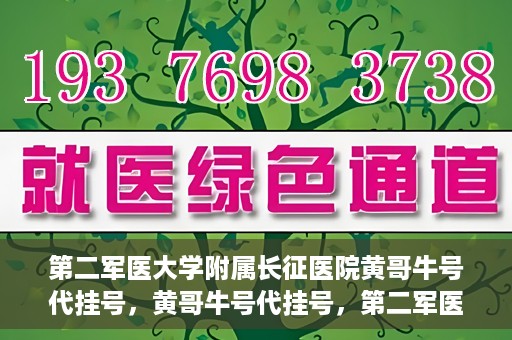 第二军医大学附属长征医院黄哥牛号代挂号，黄哥牛号代挂号，第二军医大学附属长征医院的便捷就医之路