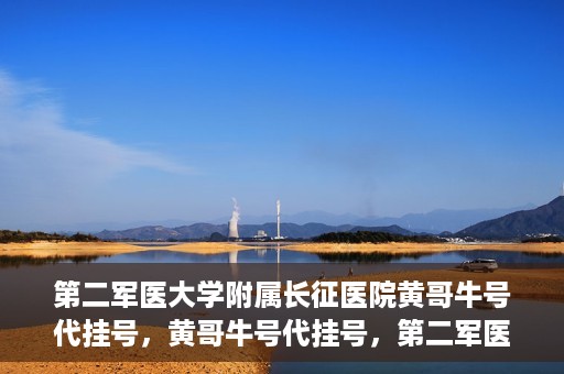 第二军医大学附属长征医院黄哥牛号代挂号，黄哥牛号代挂号，第二军医大学附属长征医院的便捷就医之路