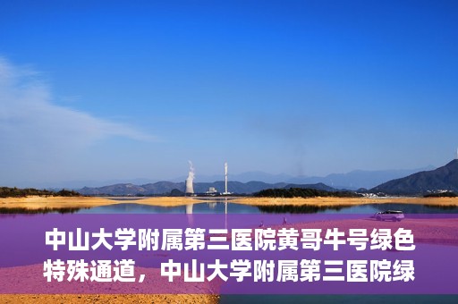 中山大学附属第三医院黄哥牛号绿色特殊通道，中山大学附属第三医院绿色特殊通道，黄哥牛号引领医疗创新之路