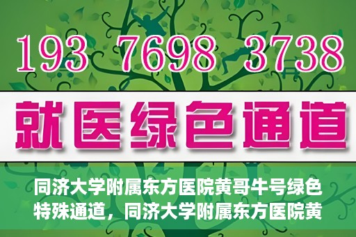 同济大学附属东方医院黄哥牛号绿色特殊通道，同济大学附属东方医院黄哥牛号，绿色特殊通道开启健康之门