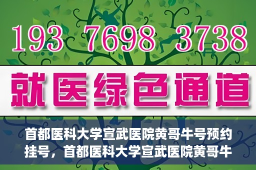首都医科大学宣武医院黄哥牛号预约挂号，首都医科大学宣武医院黄哥牛号，预约挂号攻略