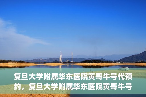 复旦大学附属华东医院黄哥牛号代预约，复旦大学附属华东医院黄哥牛号预约服务解析