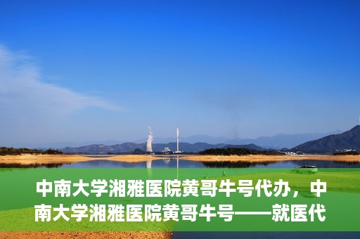 中南大学湘雅医院黄哥牛号代办，中南大学湘雅医院黄哥牛号——就医代办服务详解