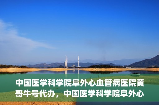 中国医学科学院阜外心血管病医院黄哥牛号代办，中国医学科学院阜外心血管病医院黄哥牛号代办，专业信赖与便捷就医之路