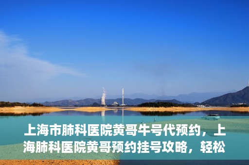 上海市肺科医院黄哥牛号代预约，上海肺科医院黄哥预约挂号攻略，轻松预约牛号