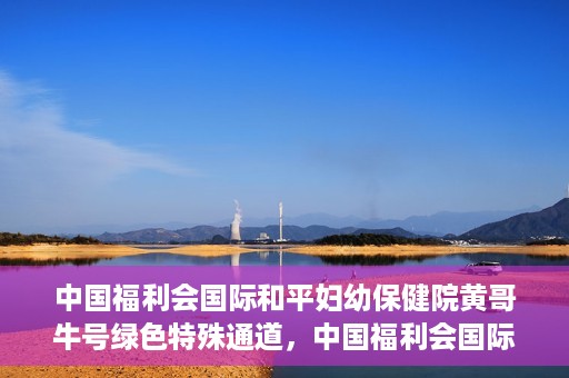 中国福利会国际和平妇幼保健院黄哥牛号绿色特殊通道，中国福利会国际和平妇幼保健院开设黄哥牛号绿色特殊通道，助力母婴健康关爱行动