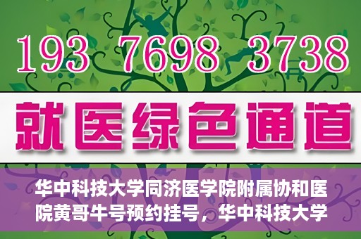 华中科技大学同济医学院附属协和医院黄哥牛号预约挂号，华中科技大学同济医学院附属协和医院黄哥牛号预约挂号攻略解析