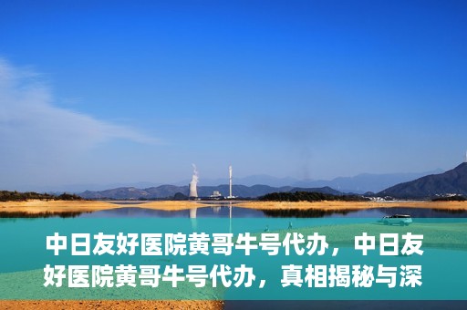 中日友好医院黄哥牛号代办，中日友好医院黄哥牛号代办，真相揭秘与深度解析