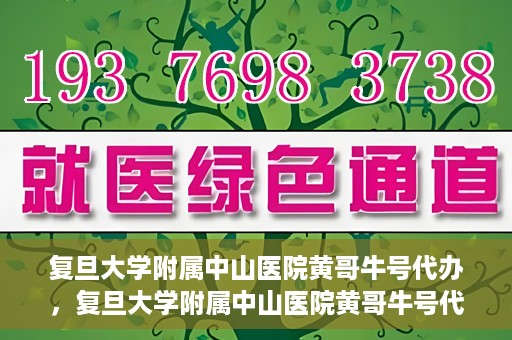 复旦大学附属中山医院黄哥牛号代办，复旦大学附属中山医院黄哥牛号代办，权威医疗资源的深度解读与便捷服务体验